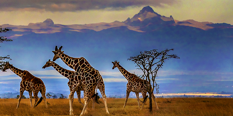 Bespoke Tours