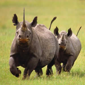 Best Tanzania Backpacking Safari