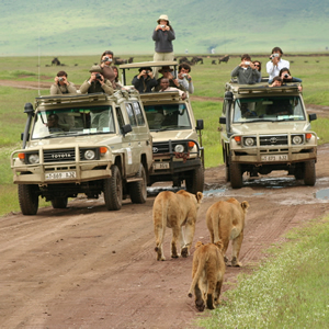 Best Tanzania Luxury Package