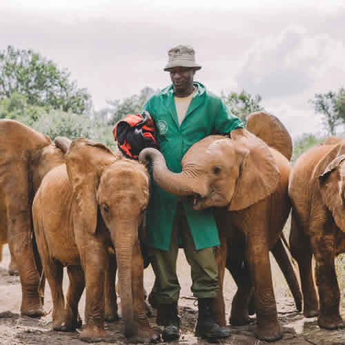 Daphne Sheldrick Elephant Orphanage
