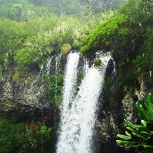 Hiking Aberdare Ranges