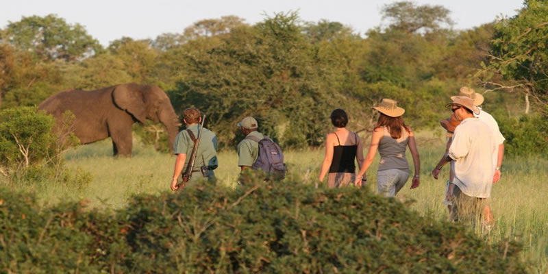 Kenya Adventure Safaris
