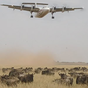 Kenya Air Safaris