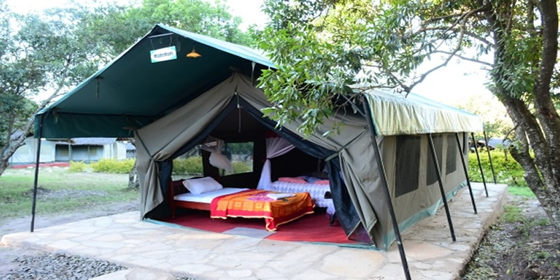 Kenya Camping Safaris