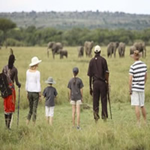 Kenya Family Safari