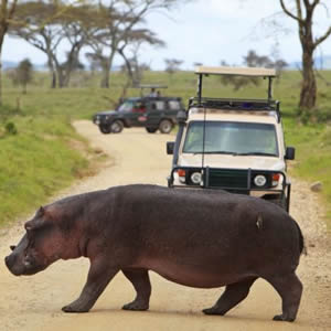Kenya & Tanzania Backpacking Safari