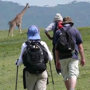 Loita Hills Walking Safari