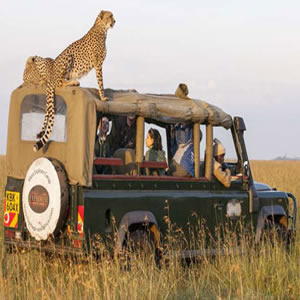 Masai Mara Lodge Safari