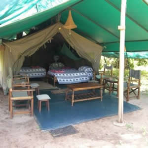 Mombasa Budget Safari