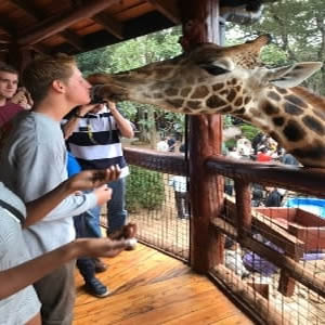 Nairobi Excursions