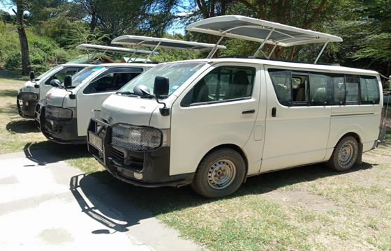Safari Van Rental