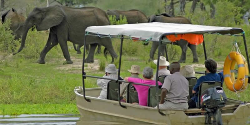 Southern Tanzania Safaris