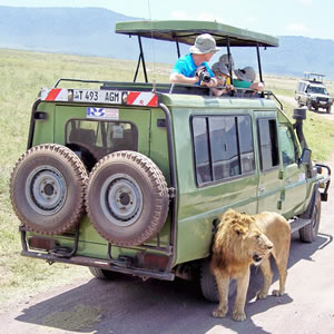 Tanzania Camping Safari