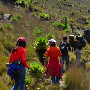 Trekking Mount Kenya