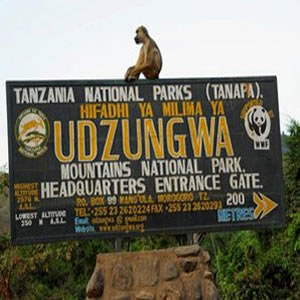 Udzungwa Mountain Lodge Safari
