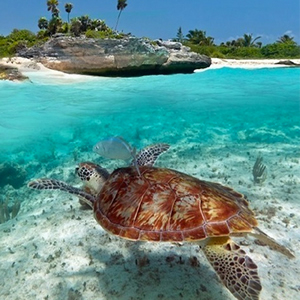 Zanzibar Safaris
