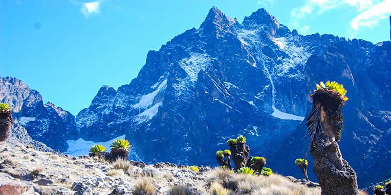 Climb Mount Kenya