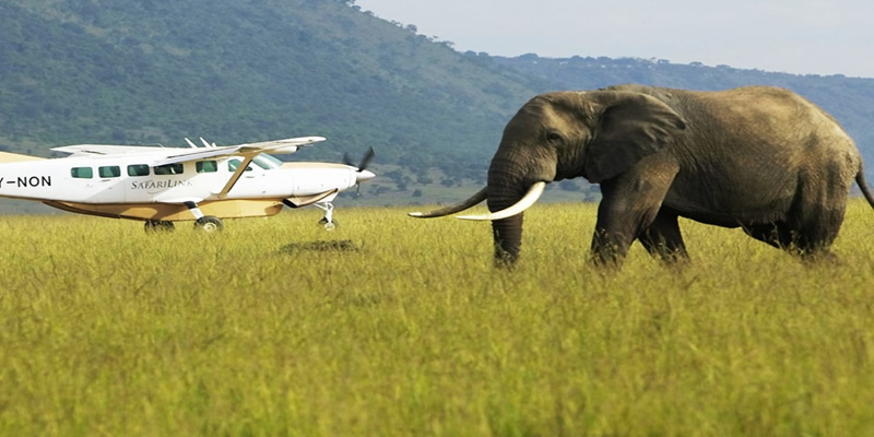Amboseli Flying Safari