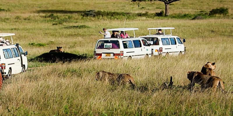 Best Kenya Backpacking Safari