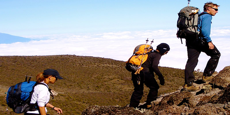 Trek Mount Kilimanjaro