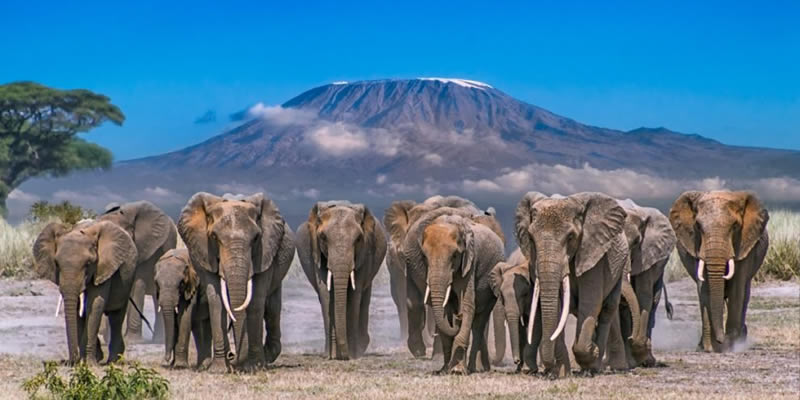 Kenya Backpacking Safari