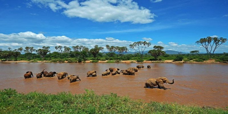 Kenya Cheap Safari