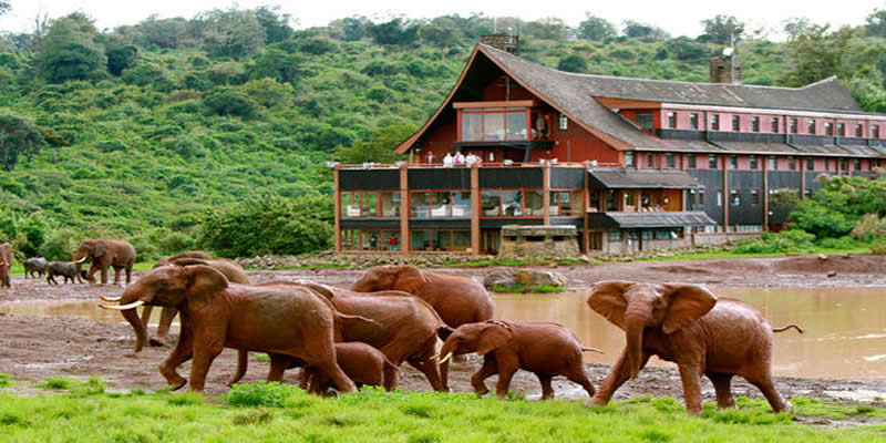 Kenya Luxury Safari
