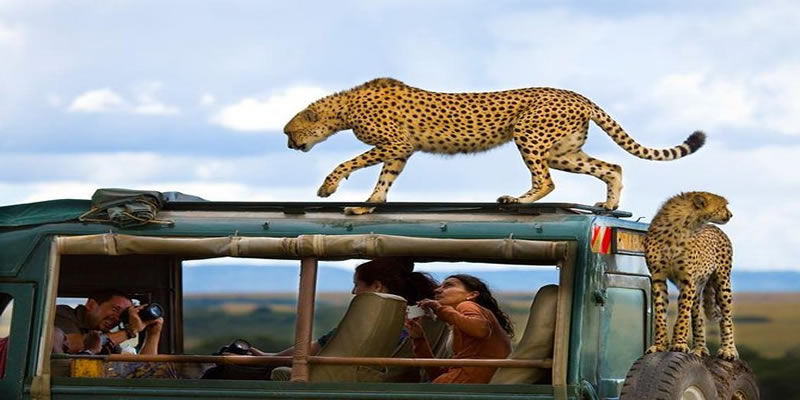 Masai Mara Lodge Safari