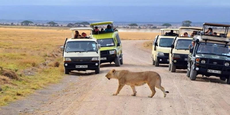 Mombasa Camping Safari