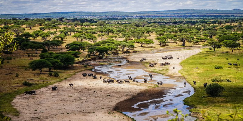 Tanzania Luxury Lodge Safari