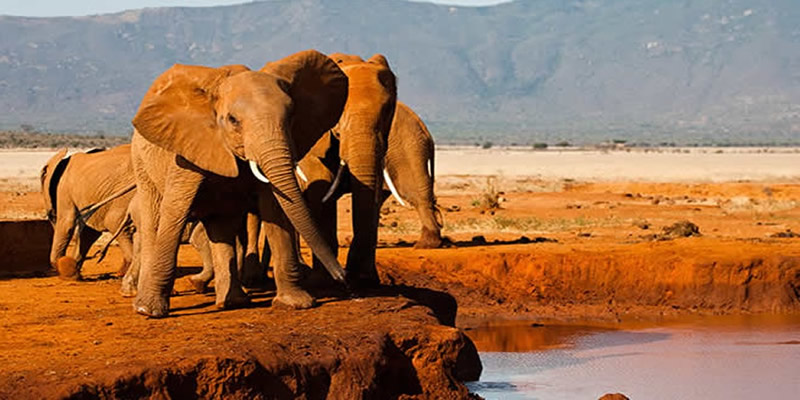 Tsavo East Day Trip